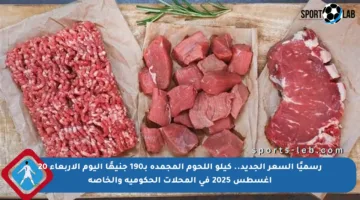 رسميًا السعر الجديد.. كيلو اللحوم المجمدة بـ190 جنيهًا اليوم الأربعاء 20 أغسطس 2025 في المحلات الحكومية والخاصة